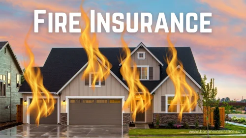 Nature and Scope of Fire Insurance