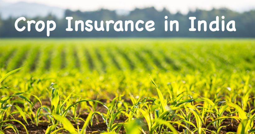 parametric crop insurance India