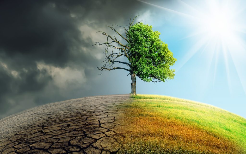 Climate Change Impact on Home Insurance in India