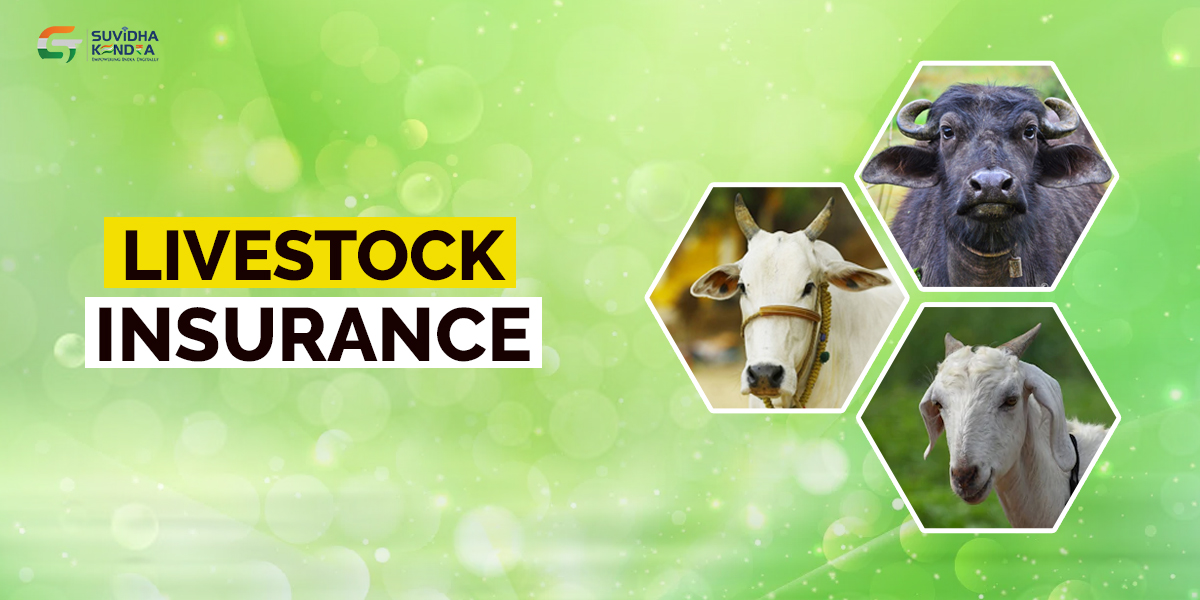 Livestock Insurance in India: Protecting Farmers Beyond Crops
