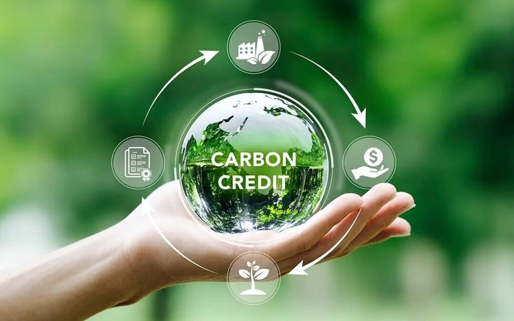  carbon credit insurance India