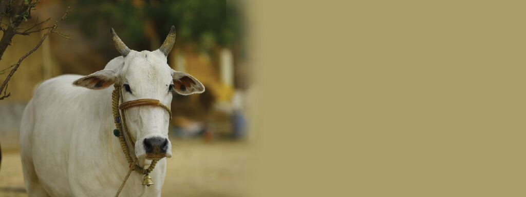 livestock insurance India