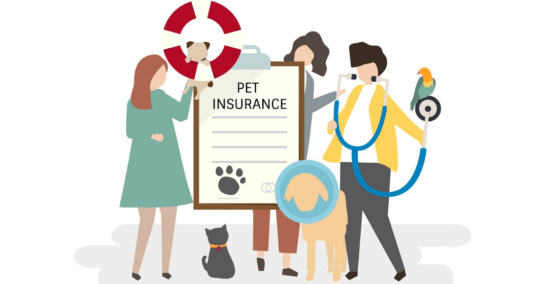 Insurance for Pet Companions: Covering Vet Care & Liability in India