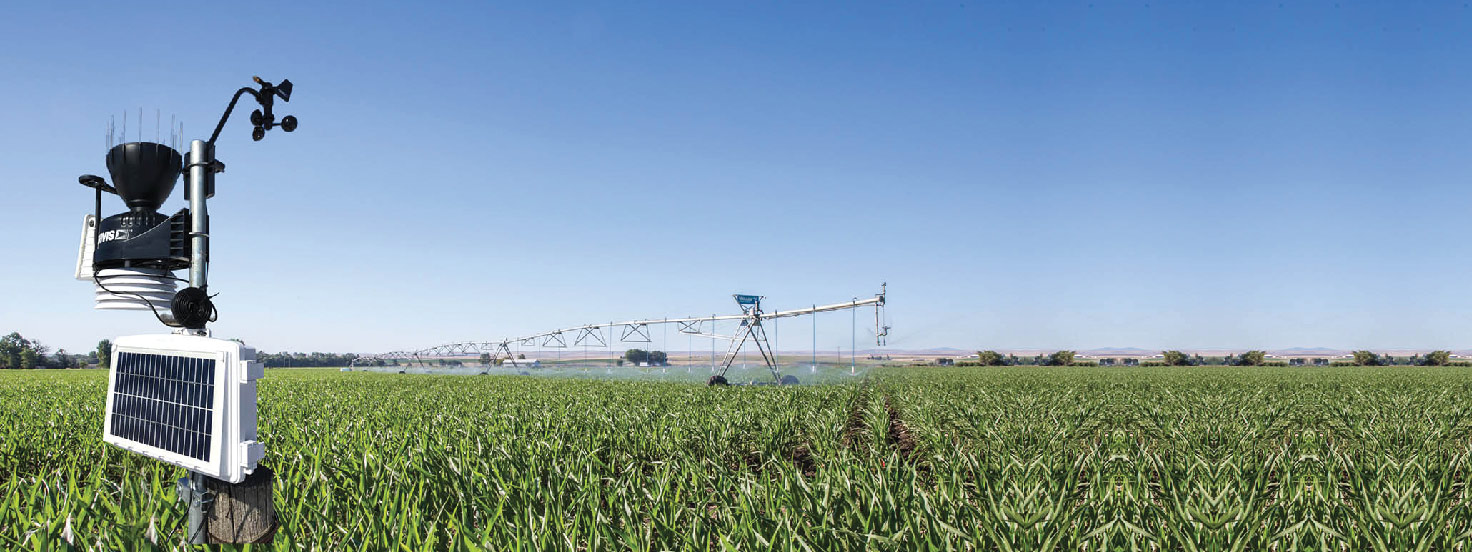 Weather Index Insurance: How Technology Is Helping Rural India