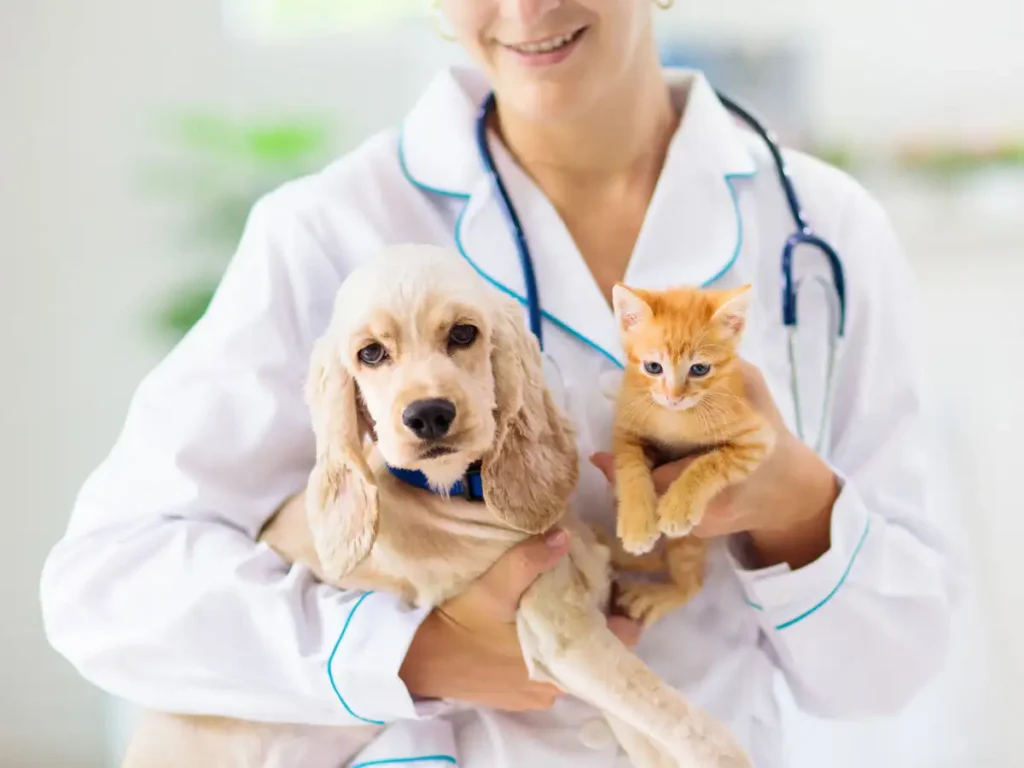 pet insurance India